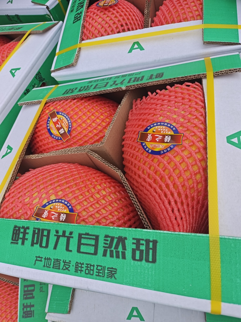 精品哈密瓜大量有货欢迎各位有老板抓紧时间联系我