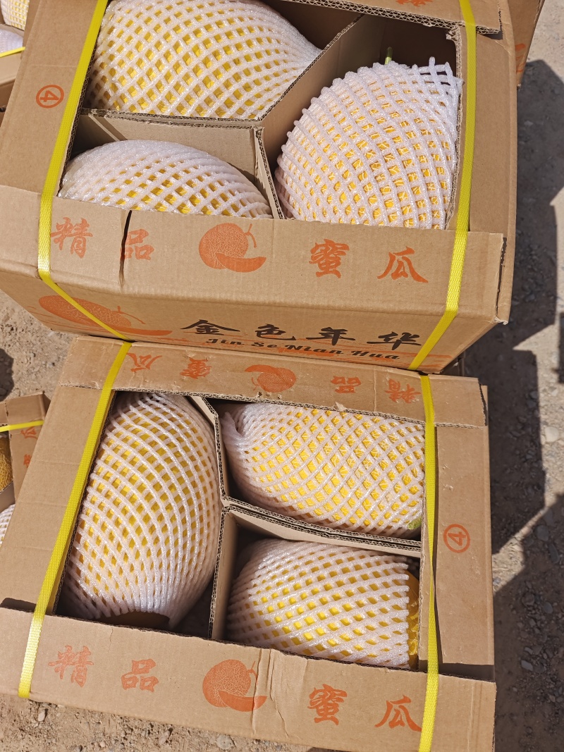 精品哈密瓜大量有货欢迎各位有老板抓紧时间联系我