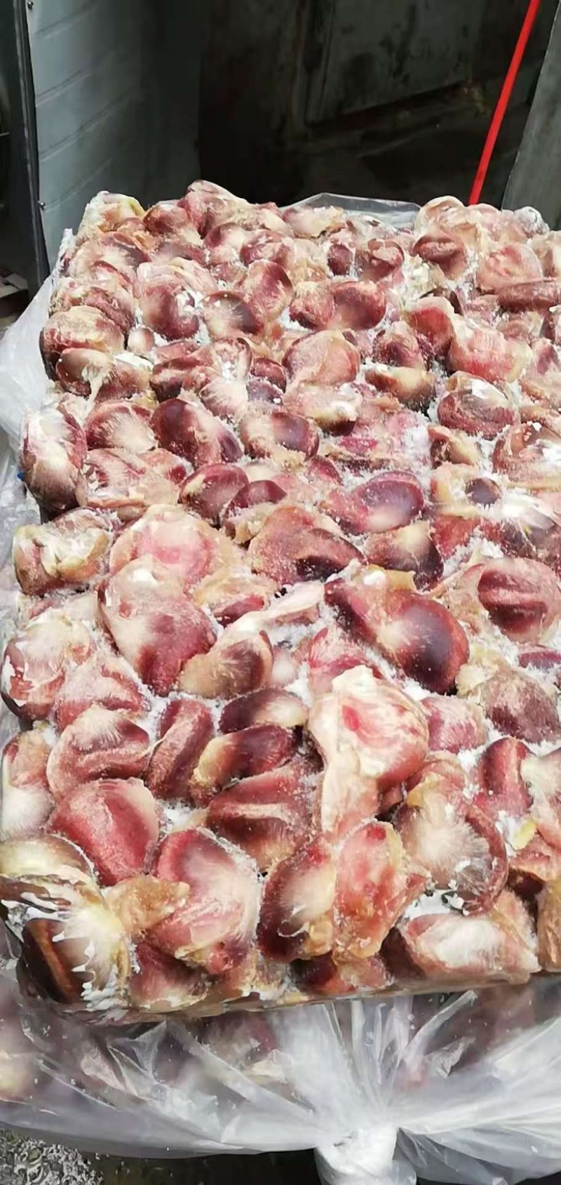 精品鸭胗批发大量供应，一手货源量大，从优新鲜发货