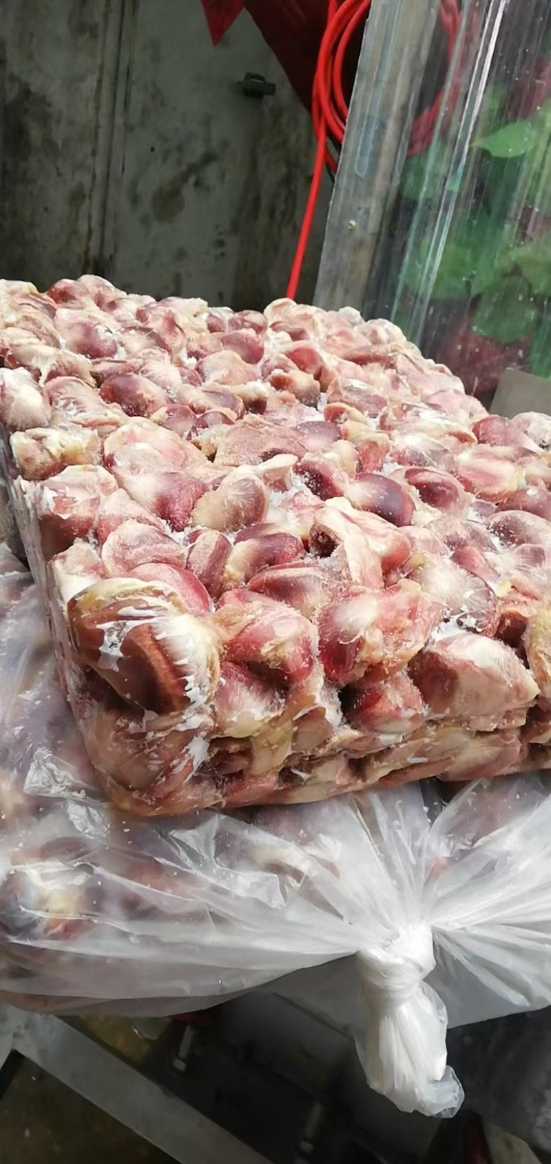 精品鸭胗批发大量供应，一手货源量大，从优新鲜发货