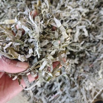【量大优惠】山东淡干干海带丝品质保障对接批发电商商超