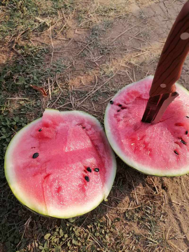 美都西瓜皮毛好口感甜，产地直销诚信交易