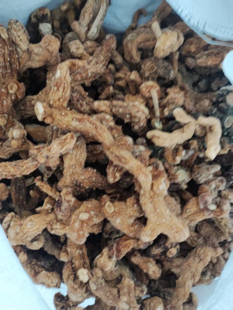 野生精品黄精产地直发量大从优欢迎进店咨询