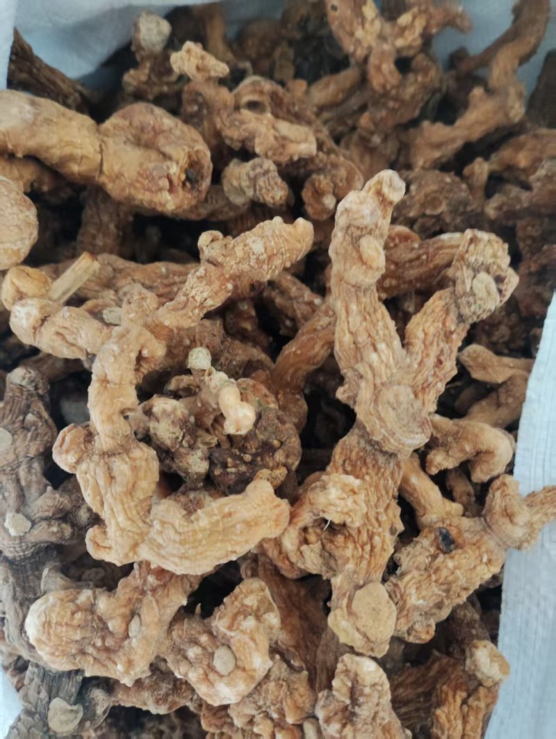 野生精品黄精产地直发量大从优欢迎进店咨询