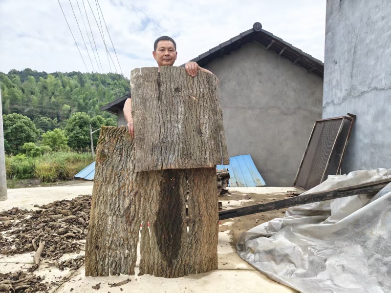 湖南精品杜仲通货成品切片齐全产地直发量大从优
