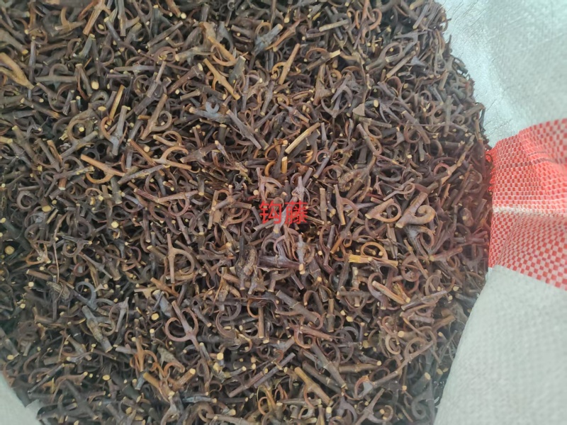 湖南精品钩藤条产地直发量大从优欢迎进店咨询