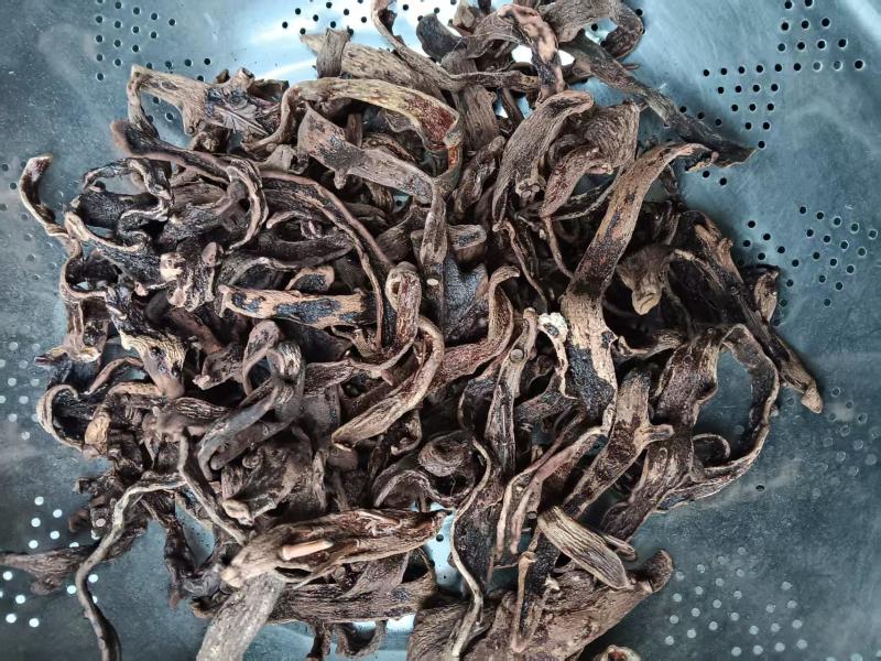 湖南精品骨碎补产地直发量大从优欢迎进店咨询可实地