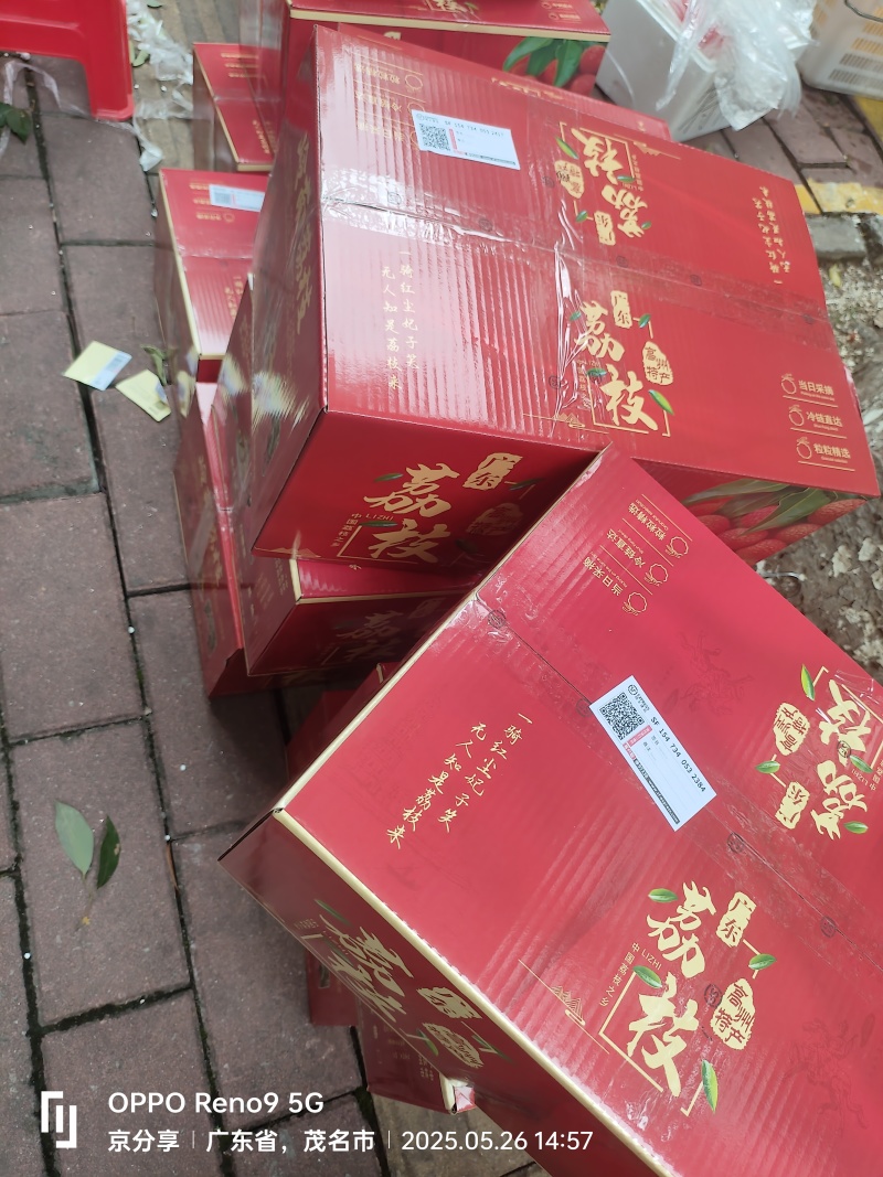 正宗茂名高州柏桥白糖罂荔枝5斤起发货