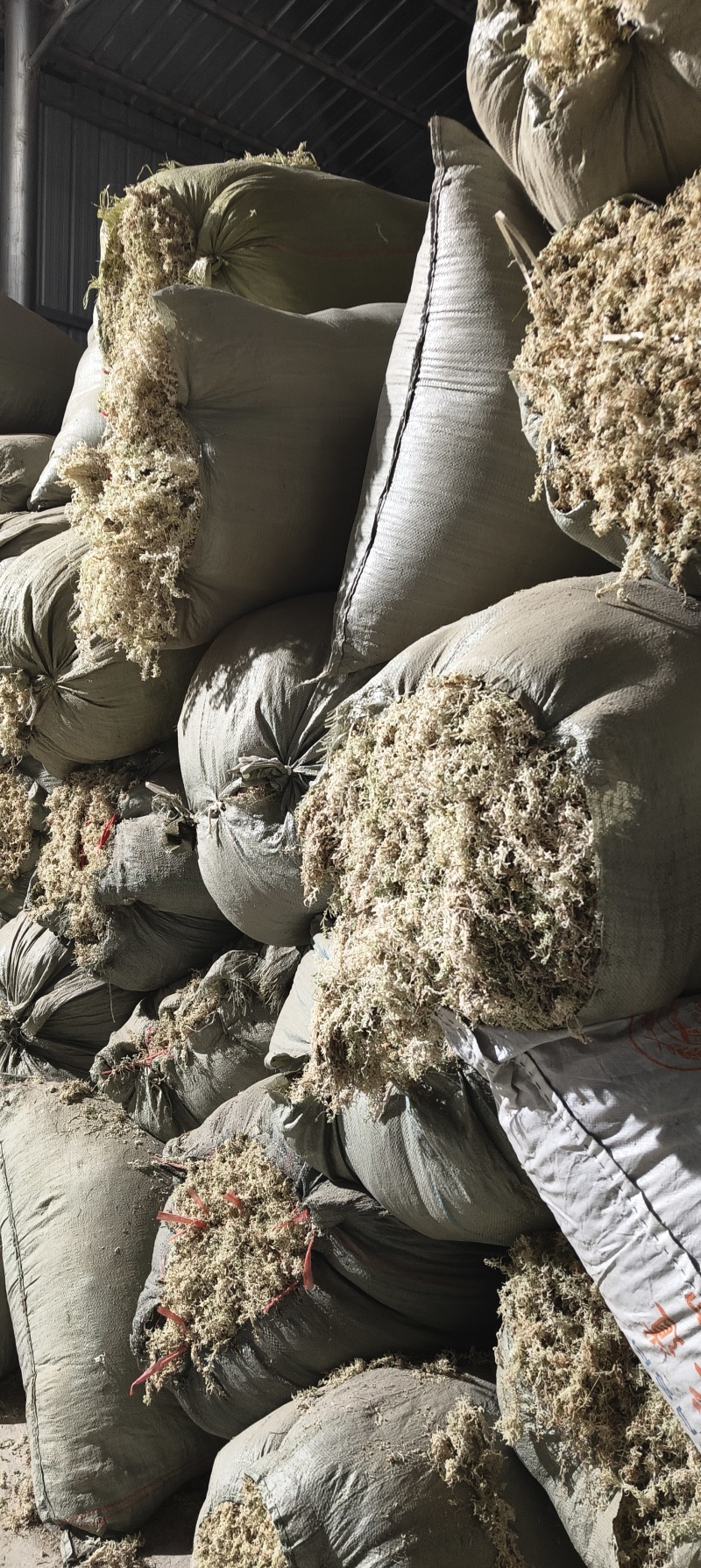 贵州天然水苔产地发货一手货源质量好厂家直销
