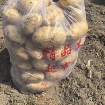 新土豆黄心土豆