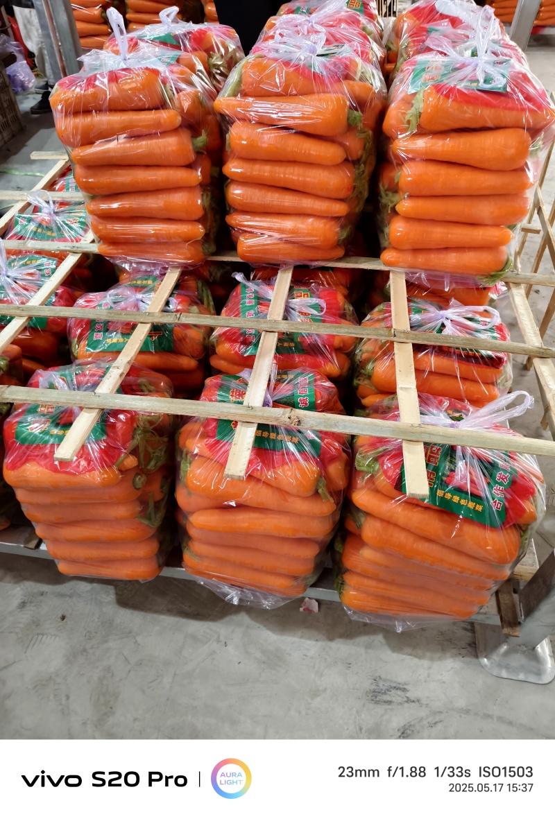 水洗大头大红品种