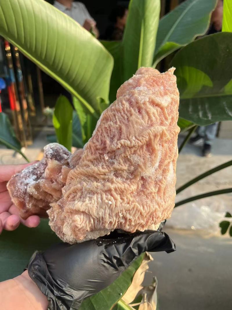精品牛碗口，牛副产品，牛杂系列，纯干无冰，可视频看货