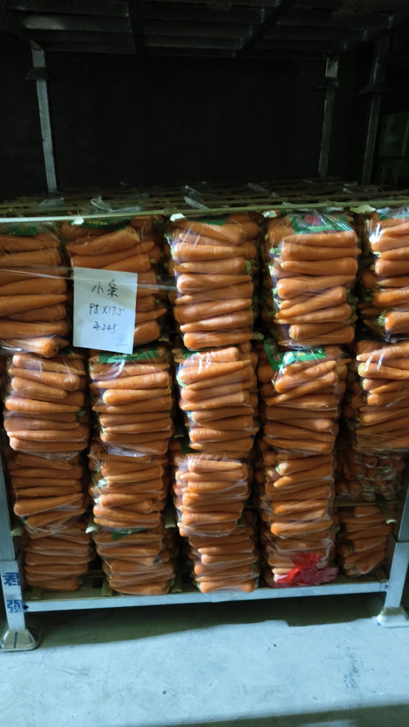水洗小条大红品种质优价廉
