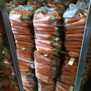 水洗小条大红品种质优价廉