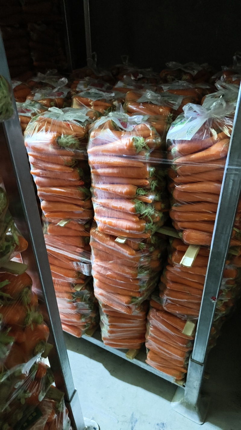 水洗小条大红品种质优价廉