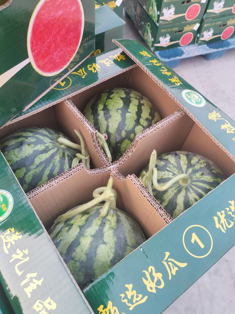 砀山县美都西瓜，鲜瓜现货含糖量高看园订瓜，保熟，代发