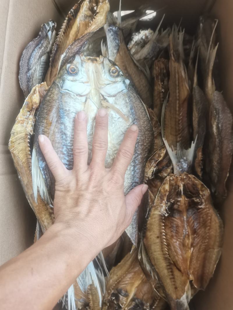 烘干土鲮/鲮鱼/海南水库鱼/开背/野生/鱼干/干货/包邮