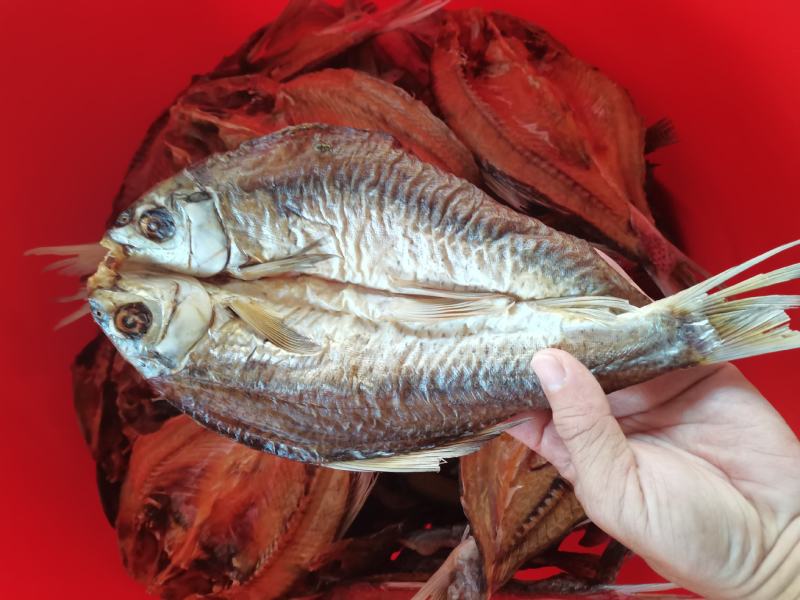 烘干土鲮/鲮鱼/海南水库鱼/开背/野生/鱼干/干货/包邮