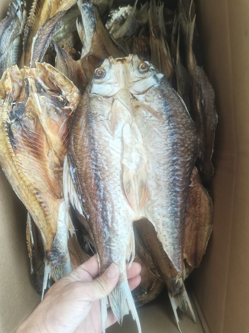 烘干土鲮/鲮鱼/海南水库鱼/开背/野生/鱼干/干货/包邮