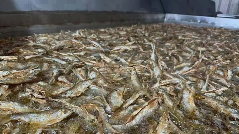 万绿湖香酥鱼油炸蓝刀电商地摊展会批发即食鱼香酥小河鱼干