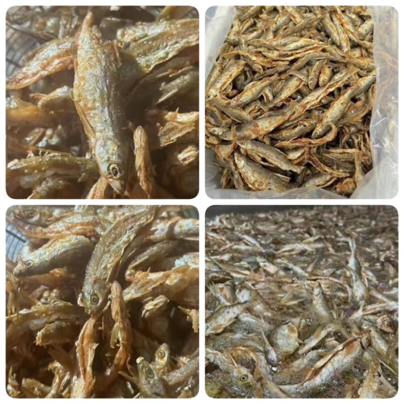 万绿湖香酥鱼油炸蓝刀电商地摊展会批发即食鱼香酥小河鱼干
