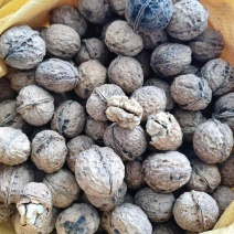 只做一件代发批发需要的语音对话框联系