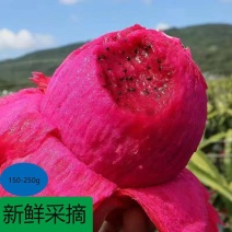 语音联系支持代发小批量批发零售