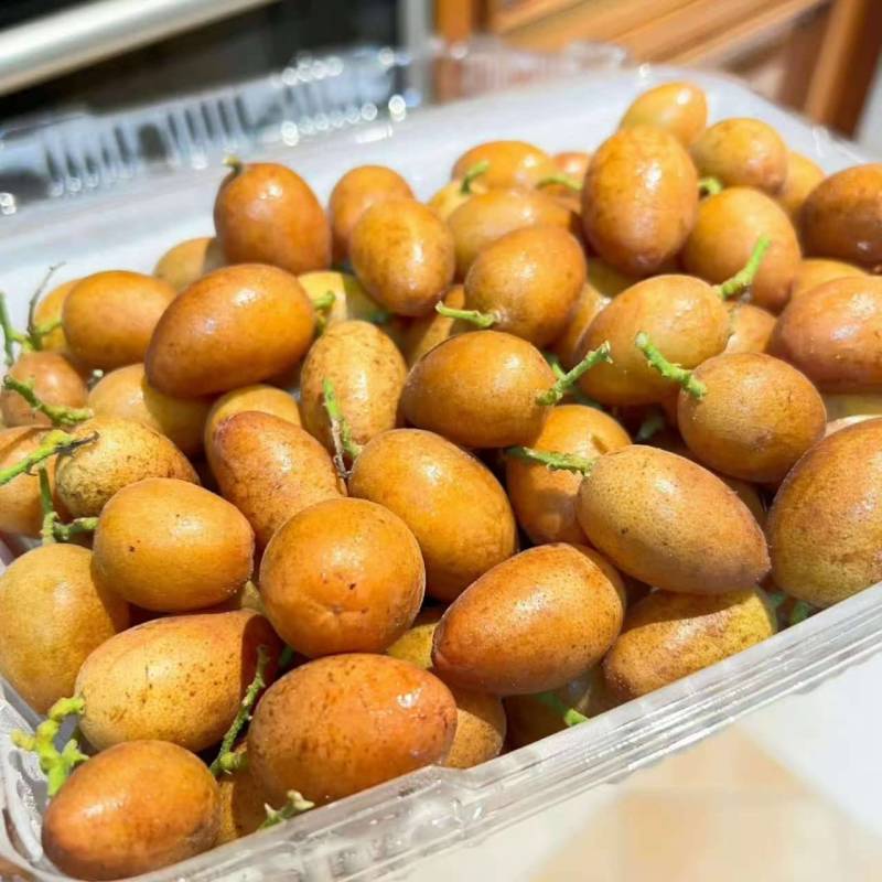黄皮鸡心黄皮茂名产区现摘现发全国对接