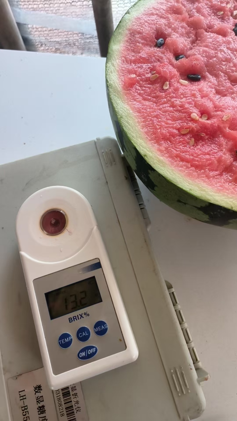 美都大量上市，欢迎新老客户来电