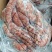 龙大肉灌肠20斤一件
