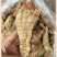 红苔天麻秦岭高海拔野外天麻红嘴天麻全干无硫熏