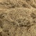 徐长卿各种规格山东千亩药材基地源头厂家价格实惠