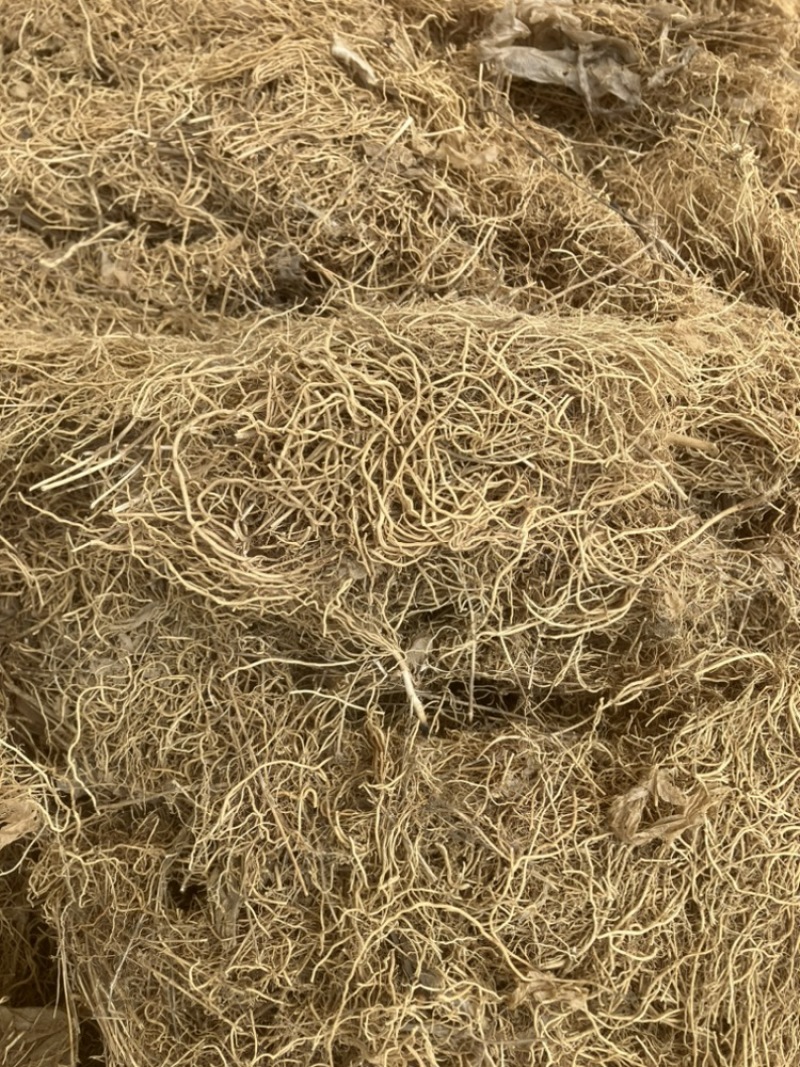 徐长卿各种规格山东千亩药材基地源头厂家价格实惠