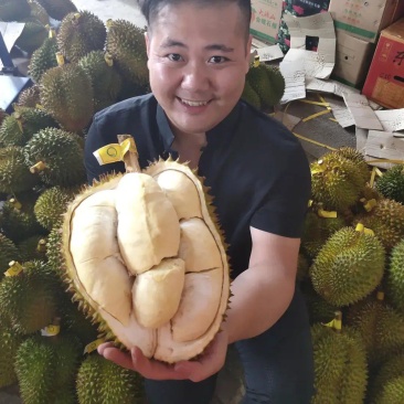 金枕榴莲一手批发货源，A果包5房，坏果包赔，货到付款