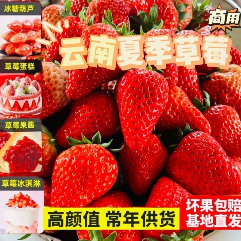 云南四季商用草莓，糖葫芦，蛋糕烘焙奶茶果酱专用批发