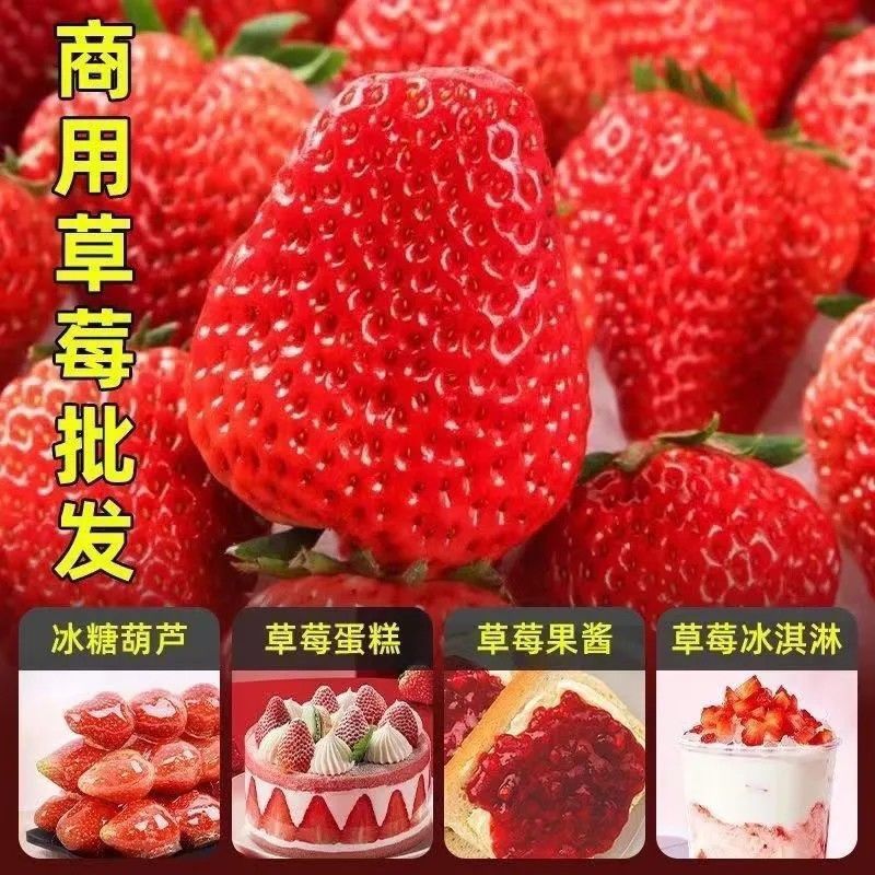 云南四季商用草莓，糖葫芦，蛋糕烘焙奶茶果酱专用批发