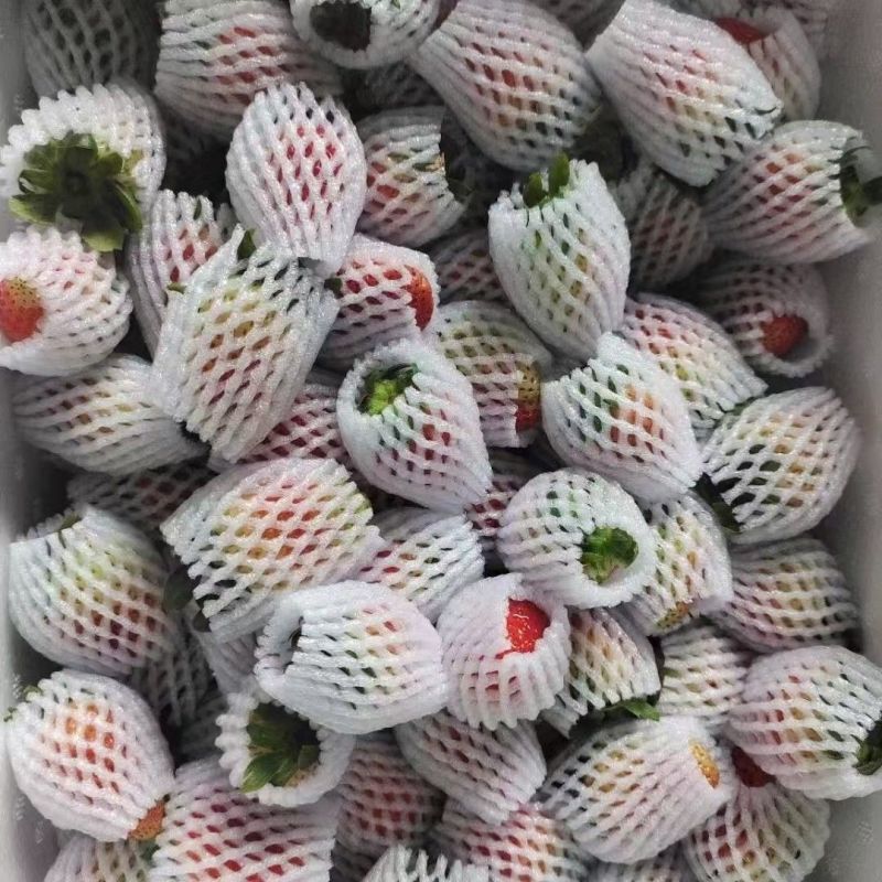 云南四季商用草莓，糖葫芦，蛋糕烘焙奶茶果酱专用批发