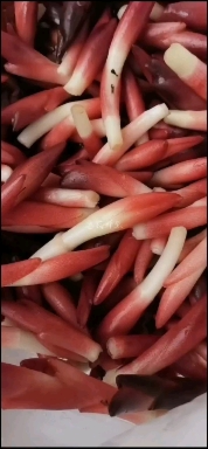 云南早熟红洋荷阳荷嫩芽（基地种植，基地直发，50斤起批）