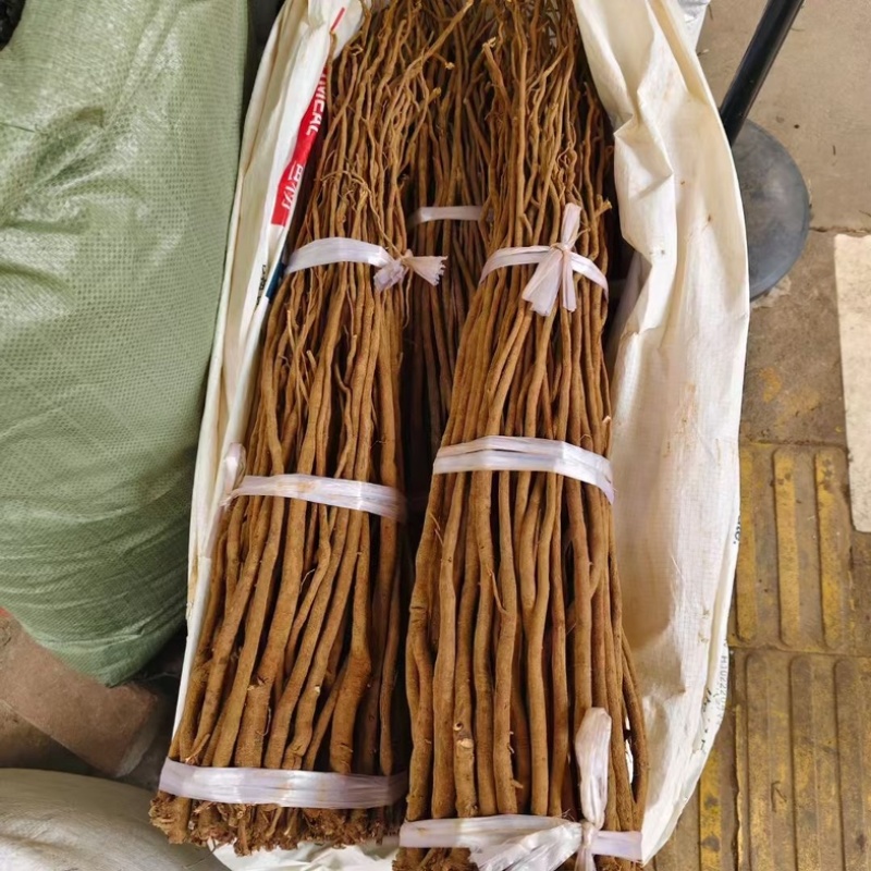 小叶千斤拔条