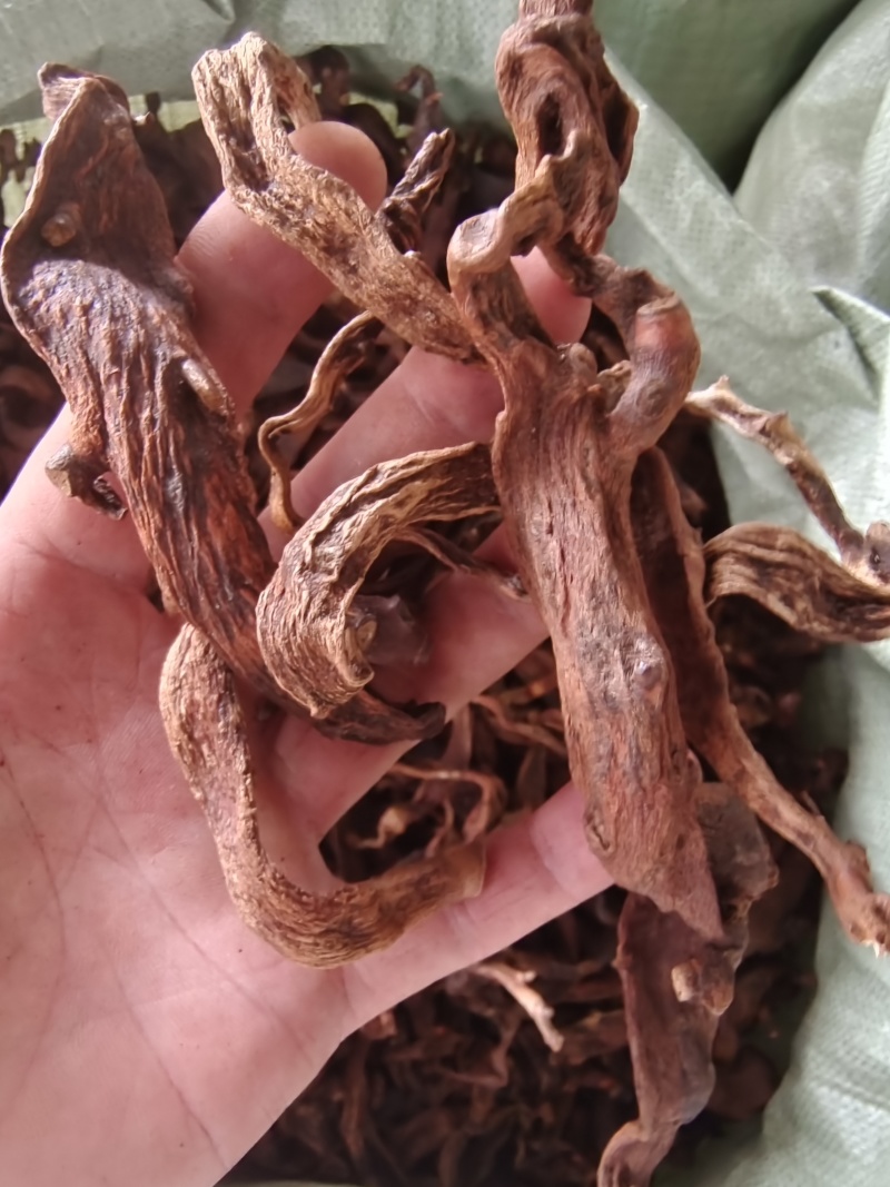 广西大叶骨碎补中药材干货去毛泡酒猴毛姜巴爬岩姜接骨碎