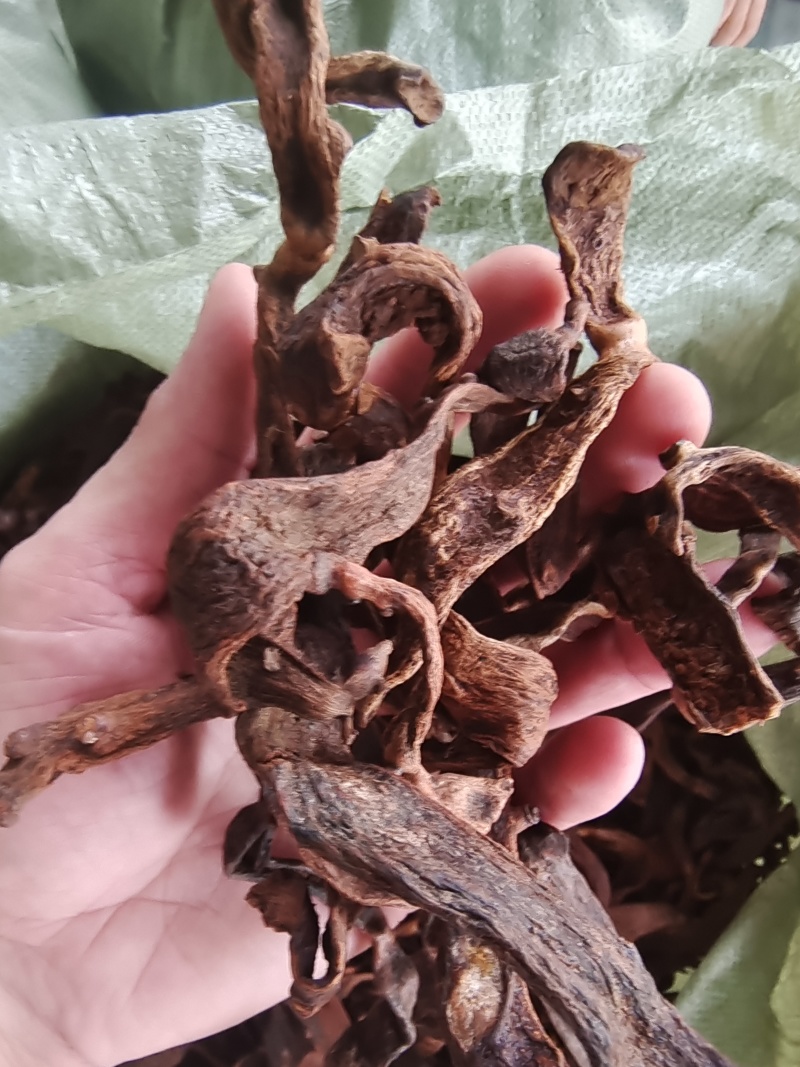 广西大叶骨碎补中药材干货去毛泡酒猴毛姜巴爬岩姜接骨碎
