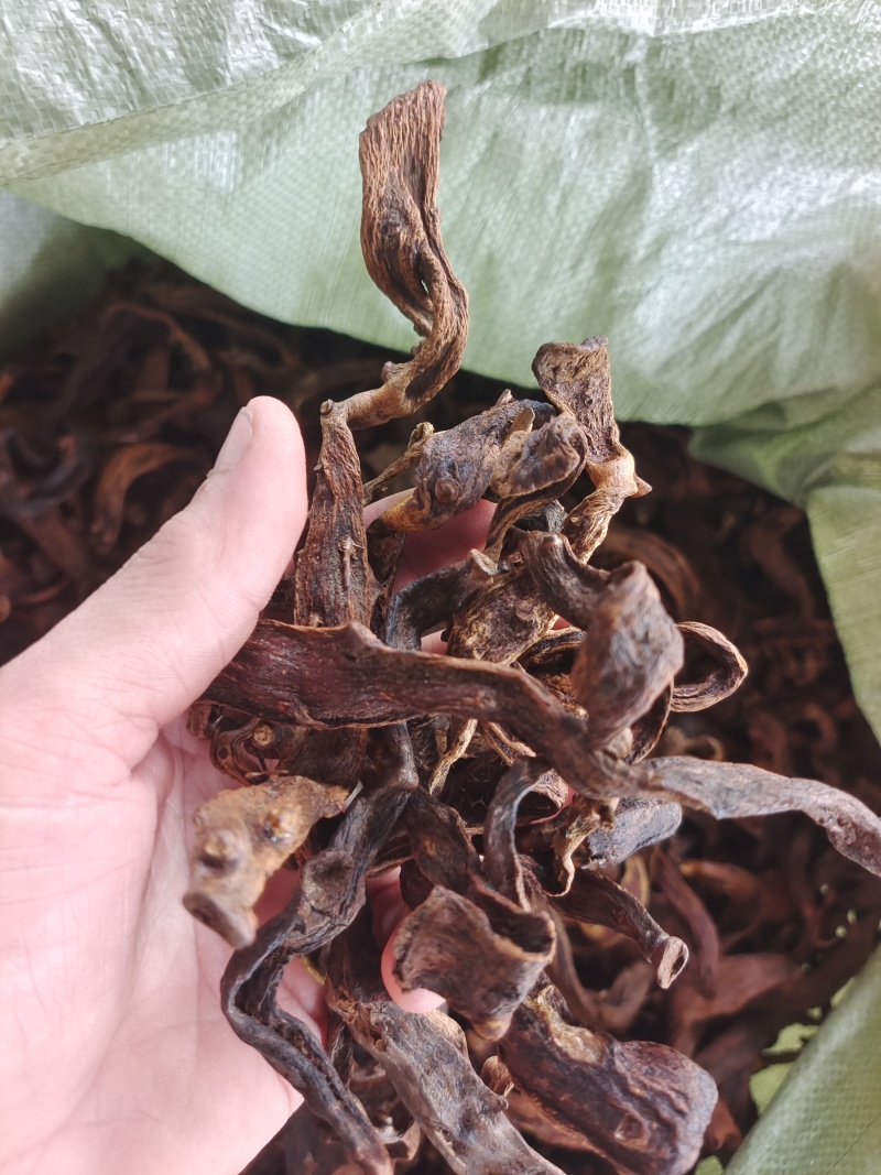 广西大叶骨碎补中药材干货去毛泡酒猴毛姜巴爬岩姜接骨碎