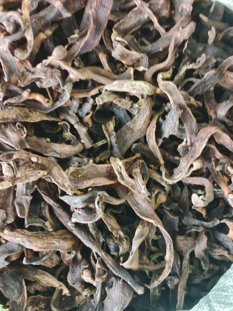 广西大叶骨碎补中药材干货去毛泡酒猴毛姜巴爬岩姜接骨碎