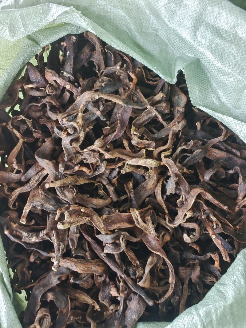 广西大叶骨碎补中药材干货去毛泡酒猴毛姜巴爬岩姜接骨碎