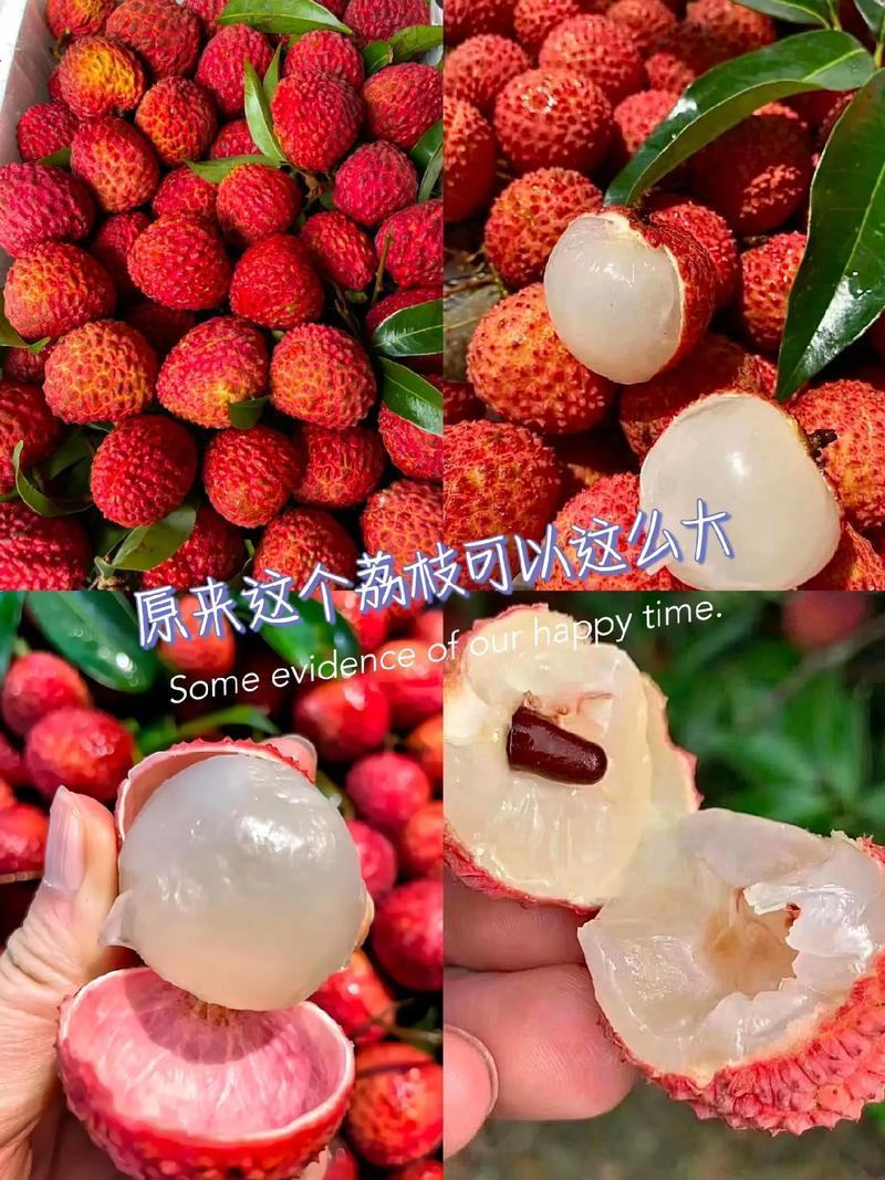 东莞荔枝