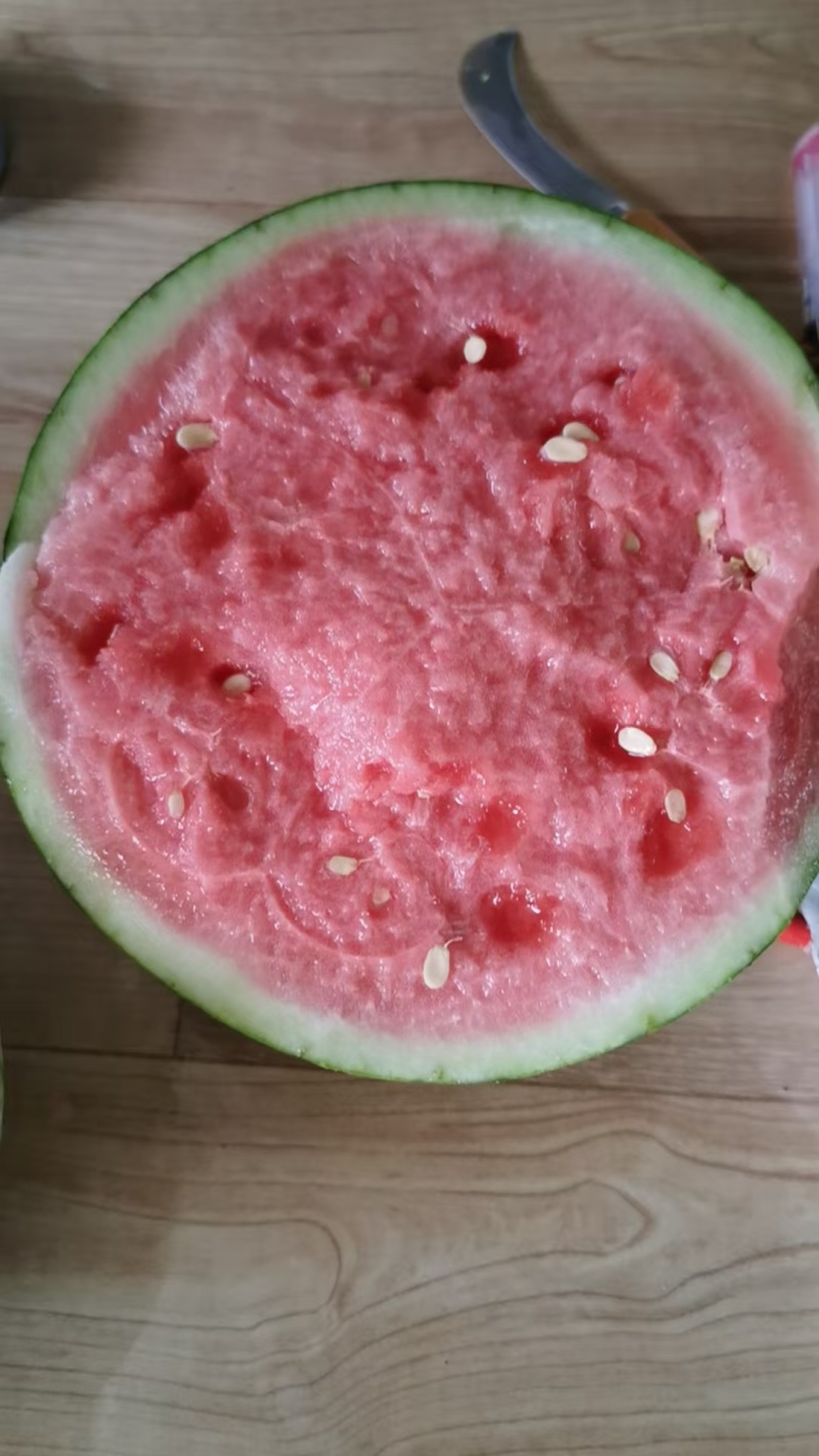 大棚西瓜，露天西瓜。大量上市，品种，乐都。美都。口口脆，