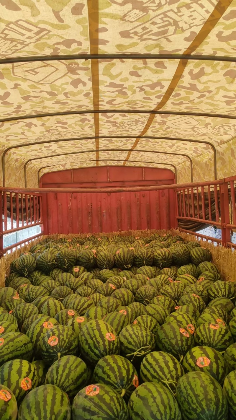 精品美都甜王价格实惠，口感甘甜，专业代办大量接单保质保量