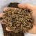 黑水虻虫干