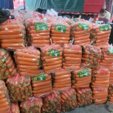 中条红萝卜水洗萝卜大量供应需要的老板电话联系