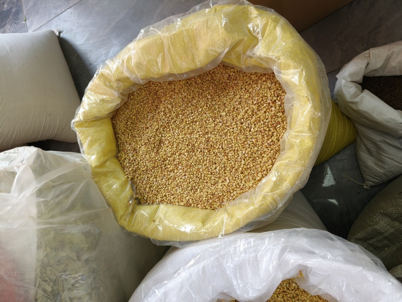 苦荞茶黄苦荞网红品大货供应各种门店直播带货电商一手货